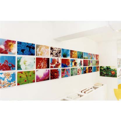 L002..ninagawa.mika.jpg